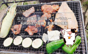 【らぁめん道場 極(きわみ)】鶏白湯+煮干し味噌ラーメン-深川市音江町