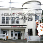 【小樽スイーツ】小樽ミルク・プラントの基本情報-NYジャンボが凄い！