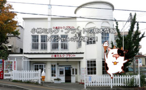【小樽スイーツ】小樽ミルク・プラントの基本情報-NYジャンボが凄い!