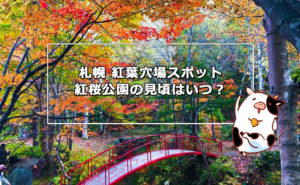 札幌 紅葉穴場スポット!紅桜公園の見頃は?アクセスや駐車場情報も