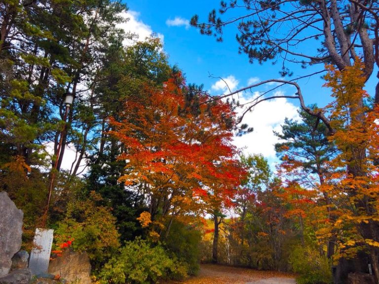 札幌 紅葉穴場スポット！紅桜公園の見頃は？アクセスや駐車場情報も | でっかいどぉ～.net