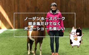 苫小牧市営バスとノーザンホースパーク　値下げしました northern-horsepark-300x185.jpg