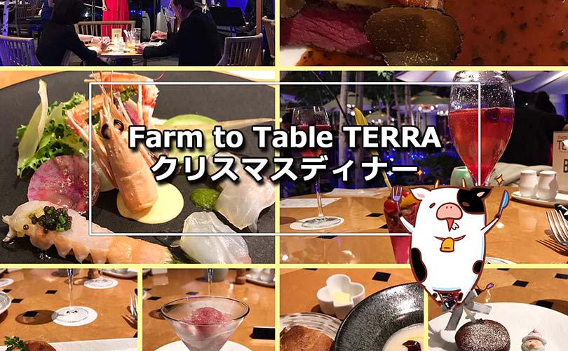 Farm to Table TERRA クリスマスディナーの予約は低予算でも演出最高