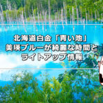 北海道白金「青い池」美瑛ブルーが綺麗な時間とライトアップ情報