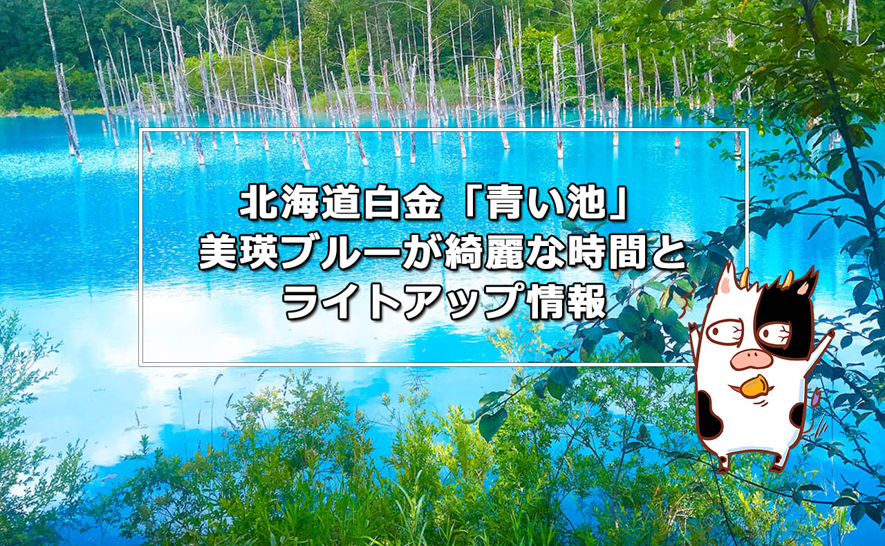 北海道白金「青い池」美瑛ブルーが綺麗な時間とライトアップ情報