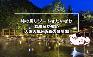 緑の風リゾートきたゆざわ お風呂が凄い「大露天風呂&森の散歩湯」