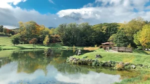 北海道白金「青い池」美瑛ブルーが綺麗な時間とライトアップ情報